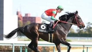 【函館記念予想】凱旋門挑戦を現実に…超難解ハンデ重賞でAI指名の激走候補は重賞未勝利馬