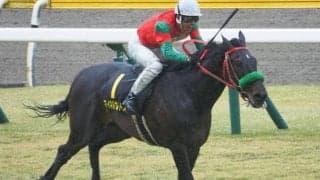 【本日の注目ポイント】ダートGI馬参戦の函館記念、小倉開催の中京記念