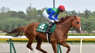 【函館記念予想】怖いのは久々に実力を発揮できそうな穴人気の実績馬