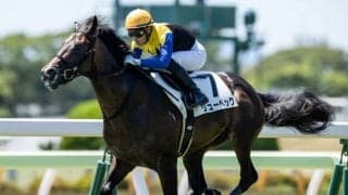 【函館5R新馬戦結果】ディアドラの全弟リューベックがデビュー勝ち