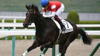 【中京記念・馬体重】ロータスランドは470kg(+2)、ディアンドルは502kg(+6)