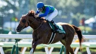 【函館記念結果】トーセンスーリヤが3馬身差快勝　重賞2勝目