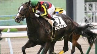 キタサンブラック産駒がJRA初勝利、小倉2RでコナブラックがV