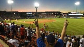 バックネットに激突…から反動使ってウルトラC　奇跡の捕球は“10点満点”