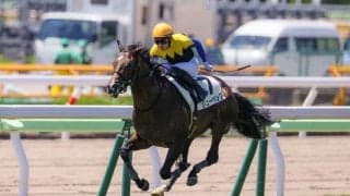 【新馬/函館5R】ディアドラ全弟 リューベックがデビューV