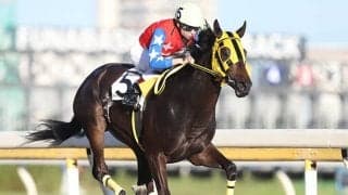 【船橋・リバーサイドジュニア特別結果】良血プラチナプライドが人気に応えて勝利