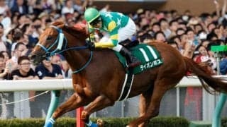 JRAは函館・新潟の2場開催 GIIIアイビスSDに注目/今週の競馬界の見どころ