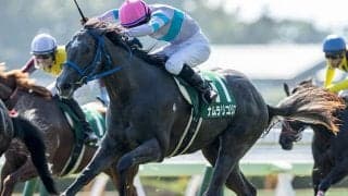 「函館芝1200mの鬼」連対率40.9%と抜群のジョーカプチーノ産駒