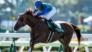 “充実の夏”トーセンスーリヤはローエングリンの最高傑作ロゴタイプと同配合