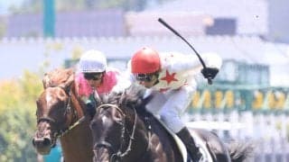 【新馬/福島5R】ハービンジャー産駒 ミッキーブンブンがデビューV