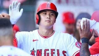【MLB】大谷翔平、豪快34号の凄さ分かる投球チャート図に反響「地面つきそう」「モンスター」