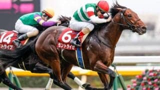 【アイビスSD予想】人気同士では決まらない AIの本命候補は人気でも状態、血統ベストのGII馬/JRA重賞レース展望