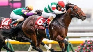 【アイビスSD展望】直線1000mの名物重賞、あの馬に期待したい