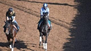 アビラの2019など、先週の入厩情報/栗東トレセンニュース