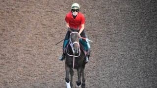 クールココナヒメなど、先週のゲート試験/栗東トレセンニュース