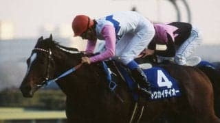 最後のトウカイテイオー産駒キセキノテイオーが7歳でデビューへ