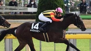 【先週のJRA抹消馬】スパーキングレディーC2着のメイクハッピー、アイスバブルの全妹レースガーデンなど