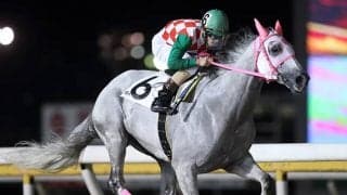 【船橋・ひまわり賞結果】1番人気の古豪リッカルドが1年7か月ぶりの勝利