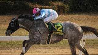 【マーキュリーC・馬体重】バンクオブクラウズは523kg(+9)、マスターフェンサーは498kg(0)