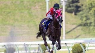 【マーキュリーC】マスターフェンサーが2連覇！