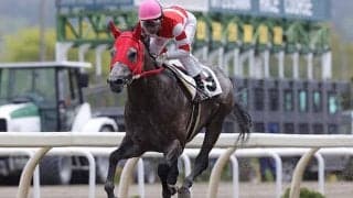 オグリキャップの孫・ミンナノヒーローが予後不良に　前走大差勝ちで注目を集める