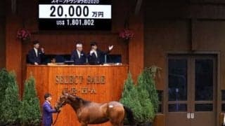 種牡馬の「ポスト・ディープインパクト」候補は？　関係者５人に聞いたベスト３