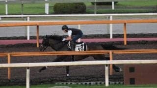 シゲルピンクダイヤ、クイーンS1週前追い切り速報/栗東トレセンニュース