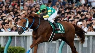 【アイビスSD予想オッズ】モントライゼとライオンボスが予想1番人気を争う