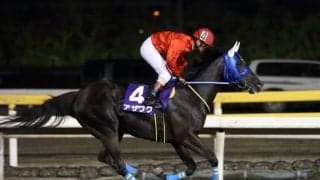 【門別競馬情報】転入6連勝なるかトウカイラルゴ。船橋に遠征アザワクの走りにも注目！門別メイン12Rは「日高銀聖特別」/地方競馬情報