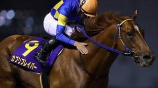 【習志野きらっとスプリント】カプリフレイバーが出走取消