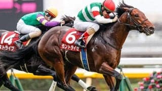 【AI予想】1番人気候補のライオンボスとモントライゼを比較　上位評価はどっち？