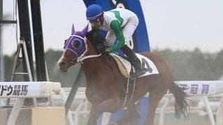 最後のトウカイテイオー産駒キセキノテイオー、デビュー戦は6着