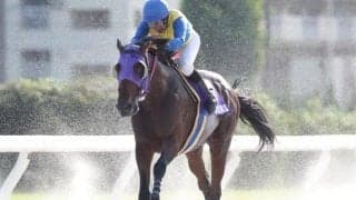 【名古屋・名港盃結果】ナムラマホーホが差し切り重賞初制覇