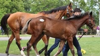 高額とは言い難いが…「キティの2021」が3600万円で落札されて嬉しかった理由