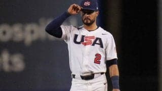 冬季五輪で銀→内野手に“異色の転身”　五輪開会式の旗手に抜擢されて大号泣