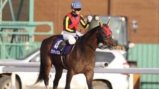 【浦和・プラチナC】重賞初Vアンティノウス矢野貴之騎手「このメンバーで結果を出せたことは、馬自身にとっても自信になった」