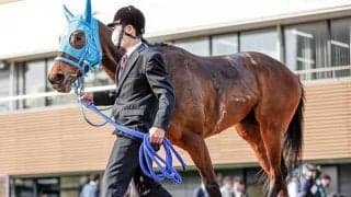 【クイーンS想定】テルツェットはC.ルメール騎手、ウインマイティーはM.デムーロ騎手