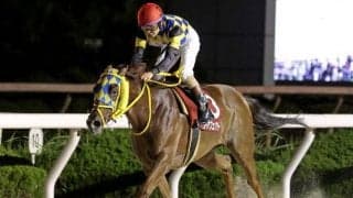 【園田・兵庫サマークイーン賞結果】愛知の伏兵シーアフェアリーが押し切りV