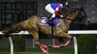 【ブリーダーズGC】サルサレイア、ネーロルチェンテ、ルナクレアなど地方選定馬が発表