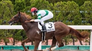 【函館5R新馬戦結果】カズラポニアンがレコードで圧勝