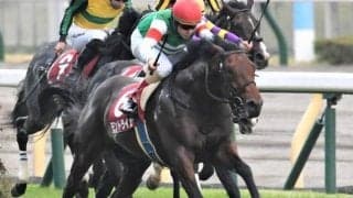 【アイビスSD前日オッズ】モントライゼが3.3倍で1番人気