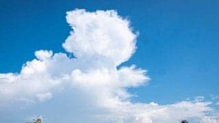 【万哲の馬場予報】千直は開幕週の高速馬場でもやはり外枠有利か/アイビスSD予想