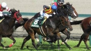 【WIN5予想】アイビスSDは基本的に前走好走馬が強い