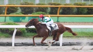 【新馬/函館5R】ヘニーヒューズ産駒 カズラポニアンがデビューV