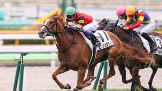 【函館4R】武豊 センショウライツが初勝利