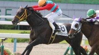 【アイビスSD】直線競馬でAIが指名したのは再度の好走を目論むあの馬