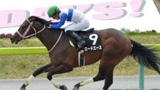 アイビスSDの激走馬は外枠にいる。穴党記者が推す２頭で好配当をつかめ