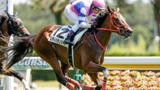 【新潟5R新馬戦結果】レディバランタインが押し切りV　サトノアラジン産駒初勝利