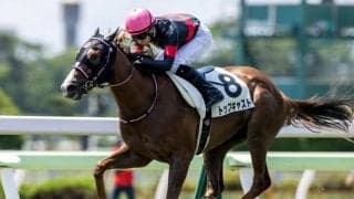 【函館5R新馬戦結果】トップキャストが逃げ切り快勝