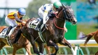 【新潟6R新馬戦結果】10番人気ファンデルが差し切りV　2着3着も2桁人気の大波乱